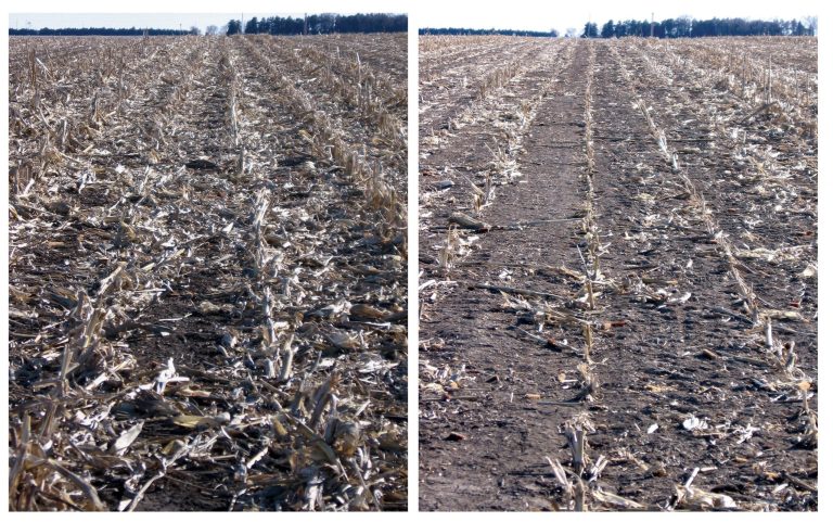 This undated combo photo, provided by the University of Nebraska-Lincoln, shows corn residue after grain harvest, left, adjacent to a field section where corn residue was baled and removed after grain harvest in Jefferson County, Neb. Biofuels made from corn leftovers after harvest are worse than gasoline for global warming in the short term, challenging the Obama administration's conclusions that they are a cleaner oil alternative from the start and will help climate change.  (AP Photo/The University of Nebraska-Lincoln)