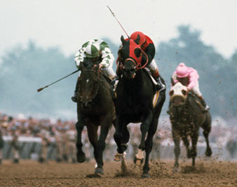 The Red and the Black