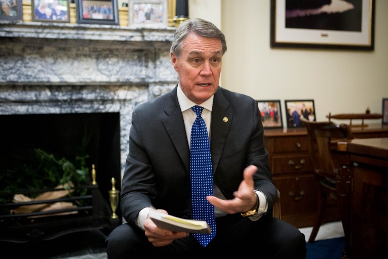 David Perdue dismisses criticism leveled against GM by Trump and others