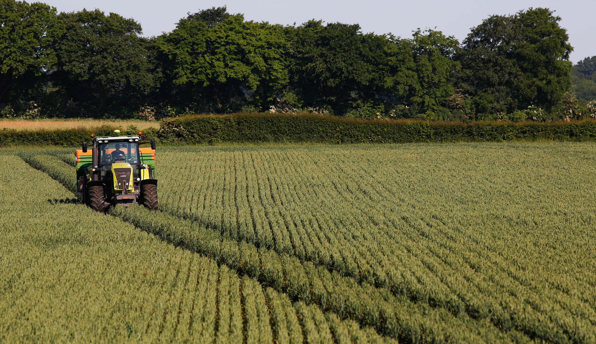 Delaying USMCA harms American agriculture