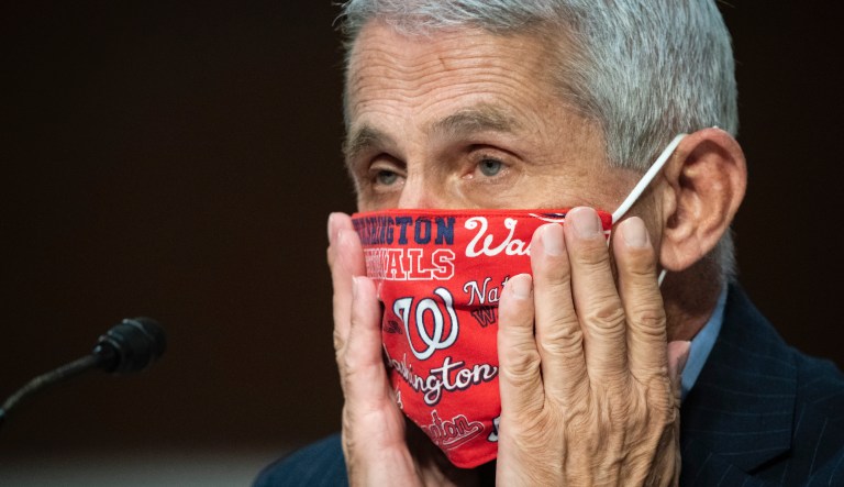 Director of the National Institute of Allergy and Infectious Diseases Dr. Anthony FauciÂ adjusts his face covering during a Senate Health, Education, Labor and Pensions Committee hearing on Capitol Hill in Washington, Tuesday, June 30, 2020. 