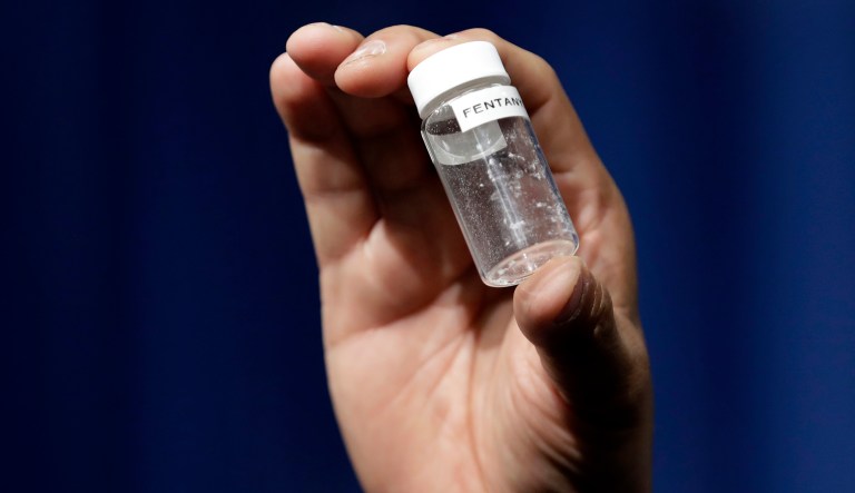 Congressional investigators posed as first-time buyers of fentanyl and found six online sellers able to easily ship the drug from overseas to the U.S. (AP Photo/Jacquelyn Martin, File)