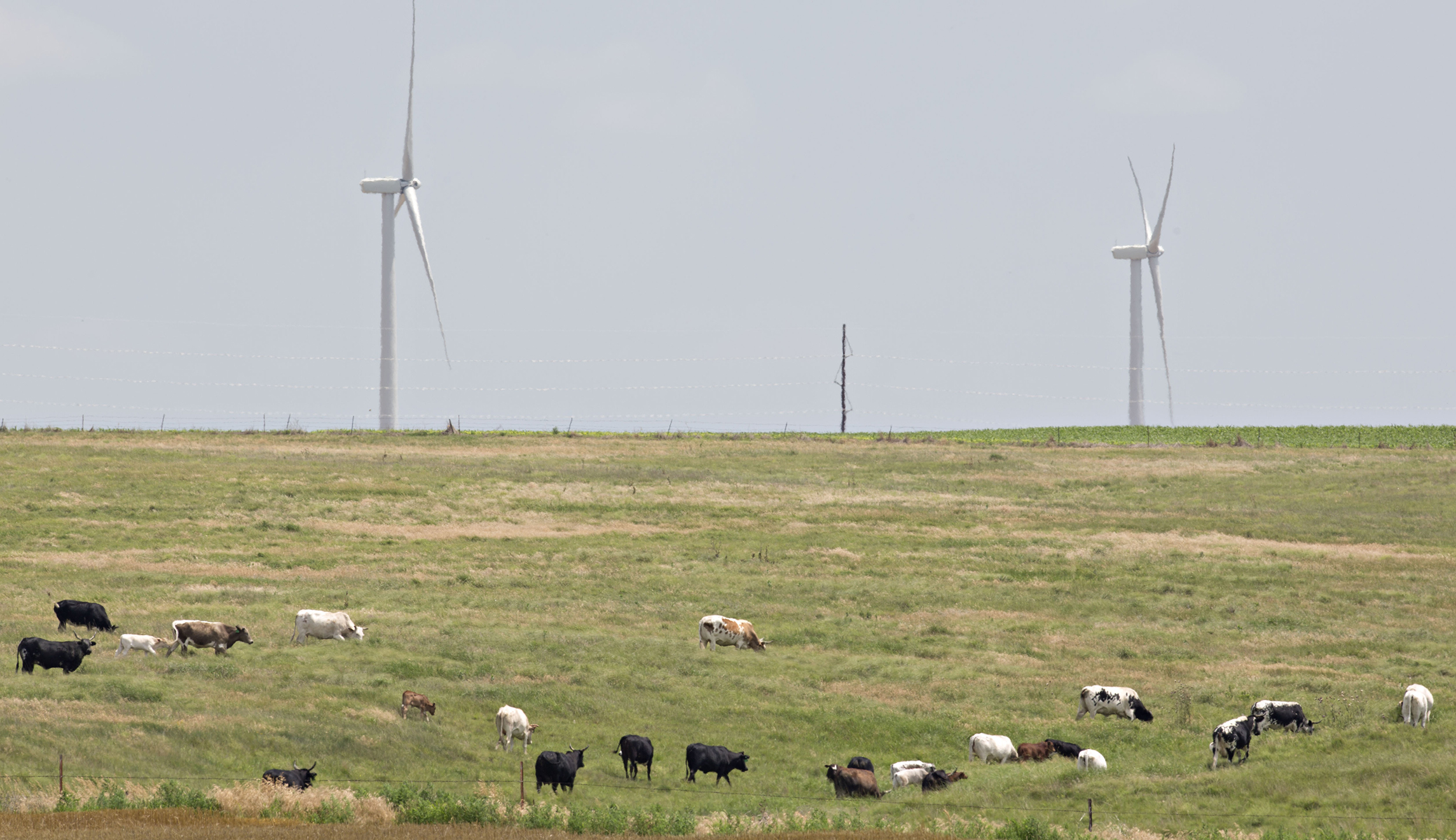 Report: Problems ahead with wind turbines off the Atlantic coast
