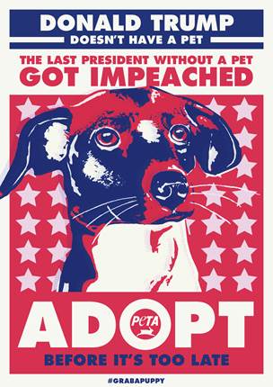 Montana Sen. Steve Daines traveled in Afghanistan and met with his home state troops and top brass.