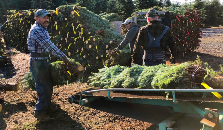 House approves bills that would give 3M ‘Dreamers’ and farmworkers pathway to citizenship