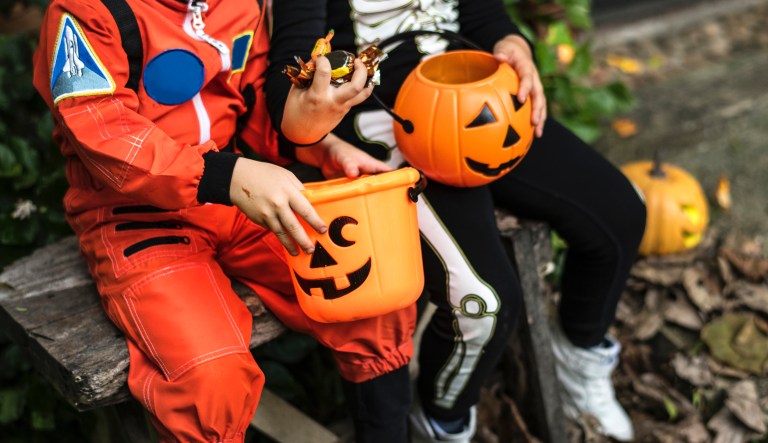 Sheriff sued by sex offenders for placing anti-trick-or-treat signs in their yards