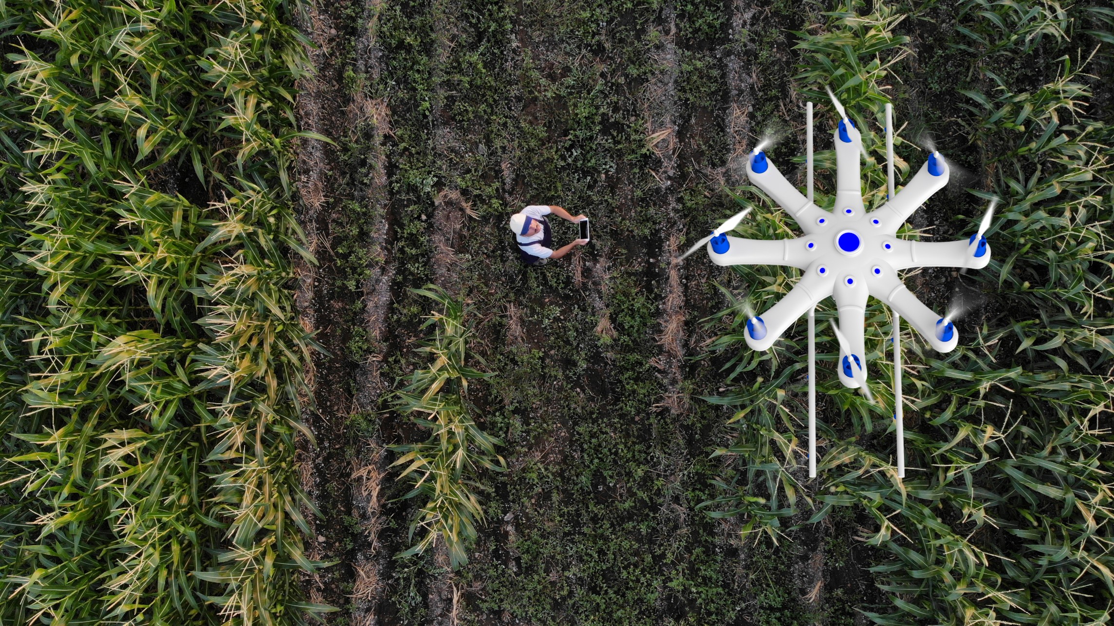 Minnesota man charged after allegedly shooting down drone flying over chicken processing plant