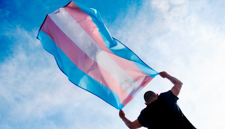 A young caucasian person, seen from behind, holding a transgender pride flag over his head against the blue sky.