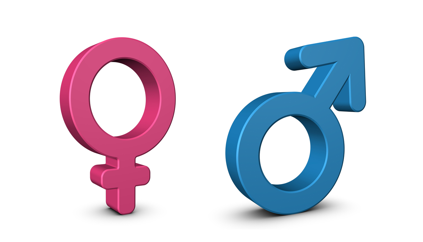 Massachusetts 7th grader sues school to wear ‘only two genders’ T-shirt