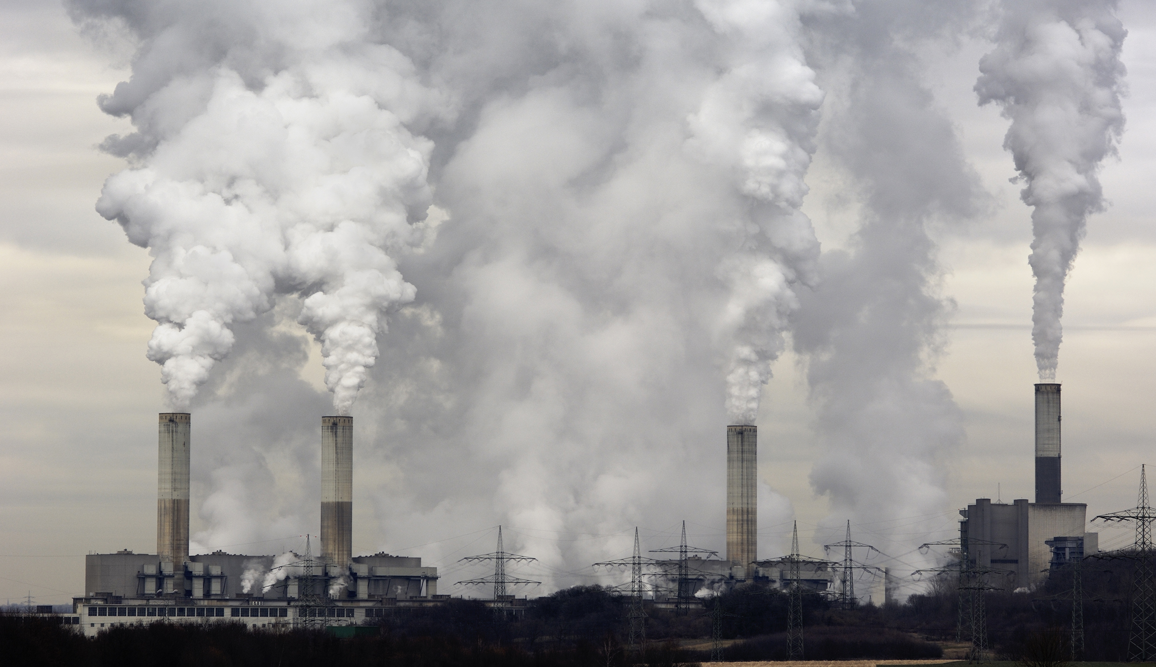 Capitalism can solve the climate change problem