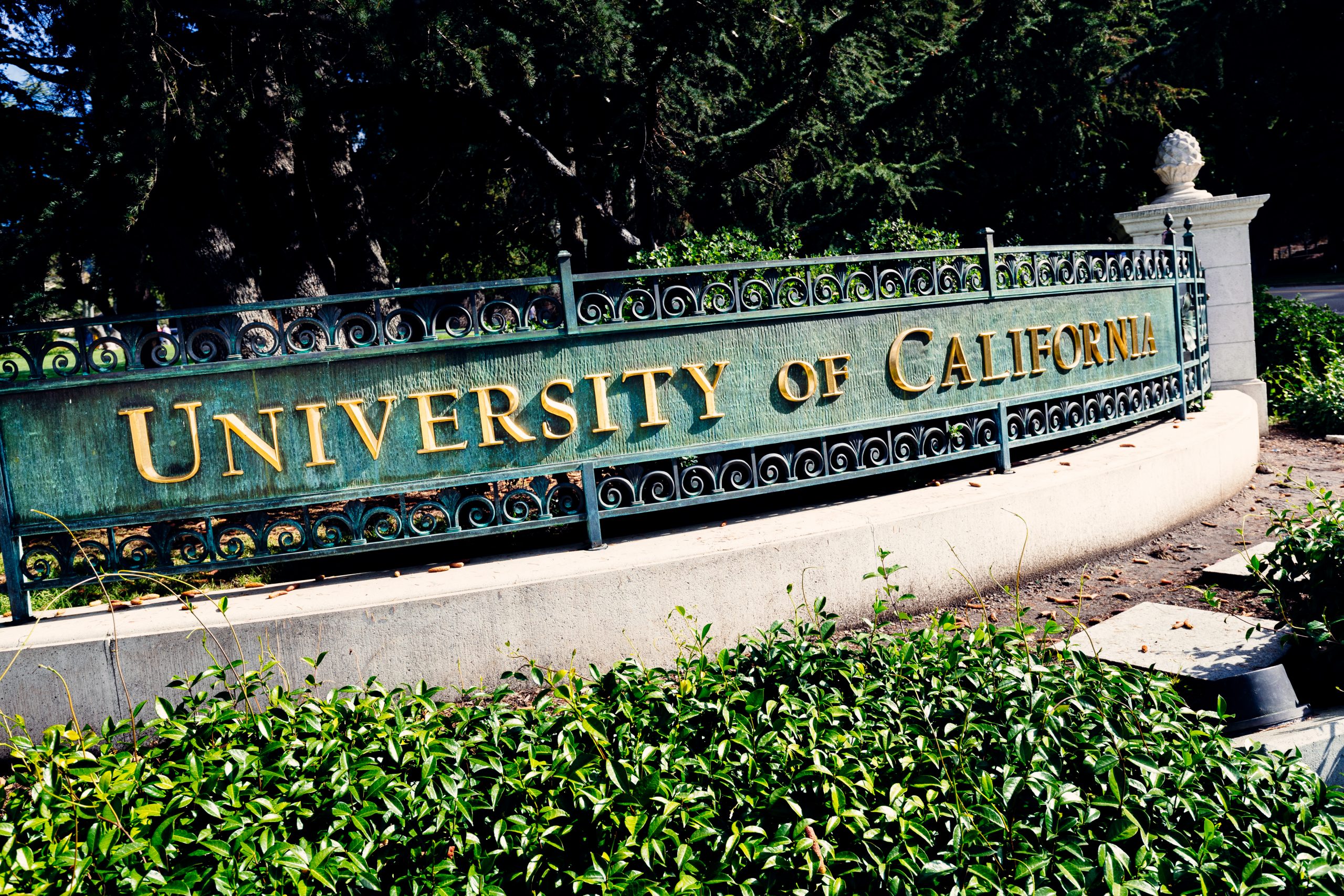 UC Berkeley uses DEI point system on all new faculty hires