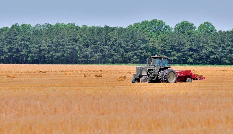 Climate policies will shut down farmers