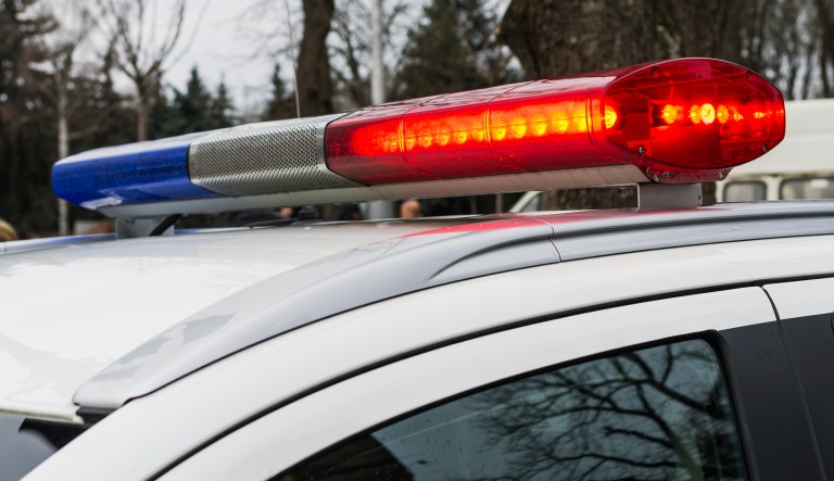 14-year-old girl dies after being stabbed 20 times and choked in random attack by homeless man in broad daylight