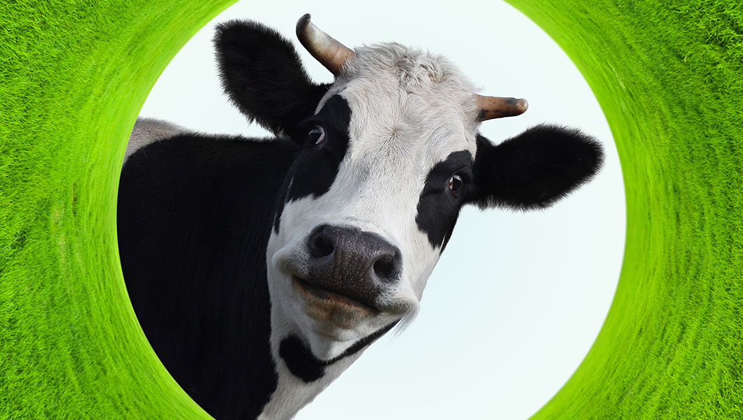 Wisconsin Assembly okays Truth in Milk, Truth in Meat legislation