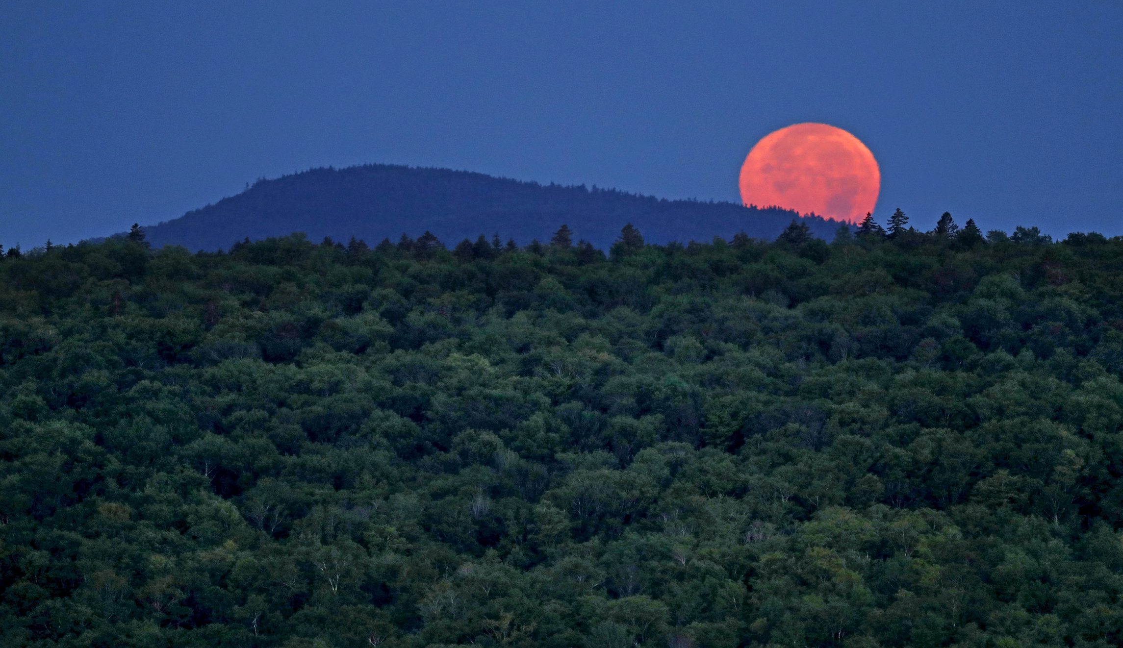 Senate committee advances bill saving conservation fund for national parks