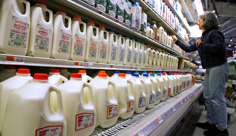 FILE - In this Feb. 11, 2009, file photo, a shopper looks over the milk aisle at the Hunger Mountain Co-op in Montpelier, Vt. U.S. Reps. Peter Welch, D-Vt., and Mike Simpson, R-Idaho, and other members of Congress are pushing in December 2016 for the Food and Drug Administration to enforce a definition of milk that would not include non-dairy products like soy or almonds.