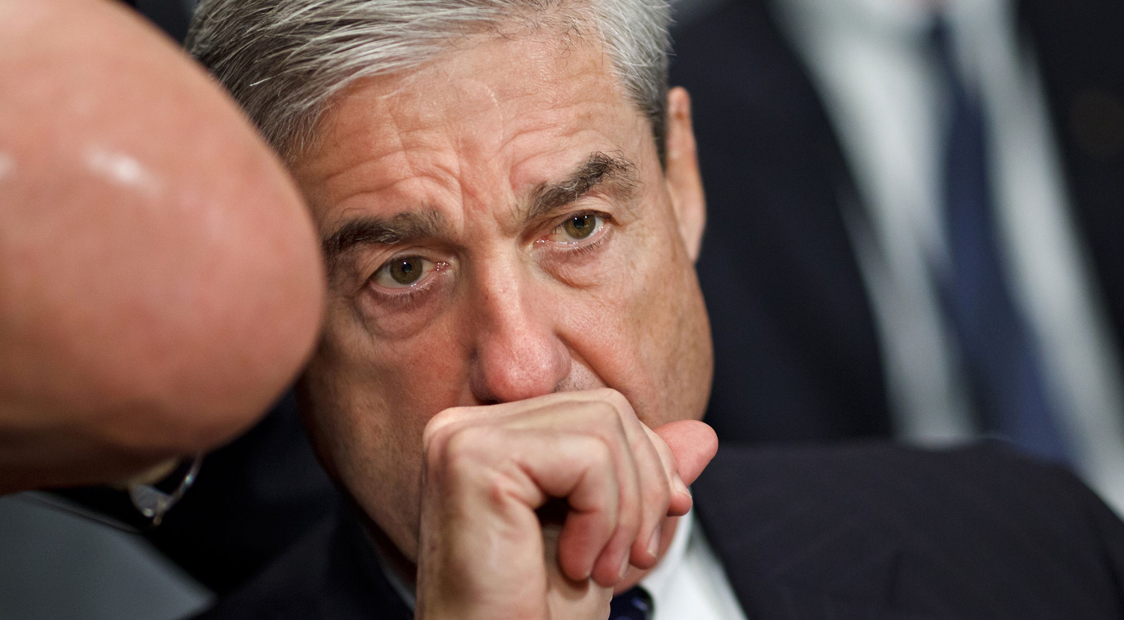 Here, Mueller! Mueller, heel!