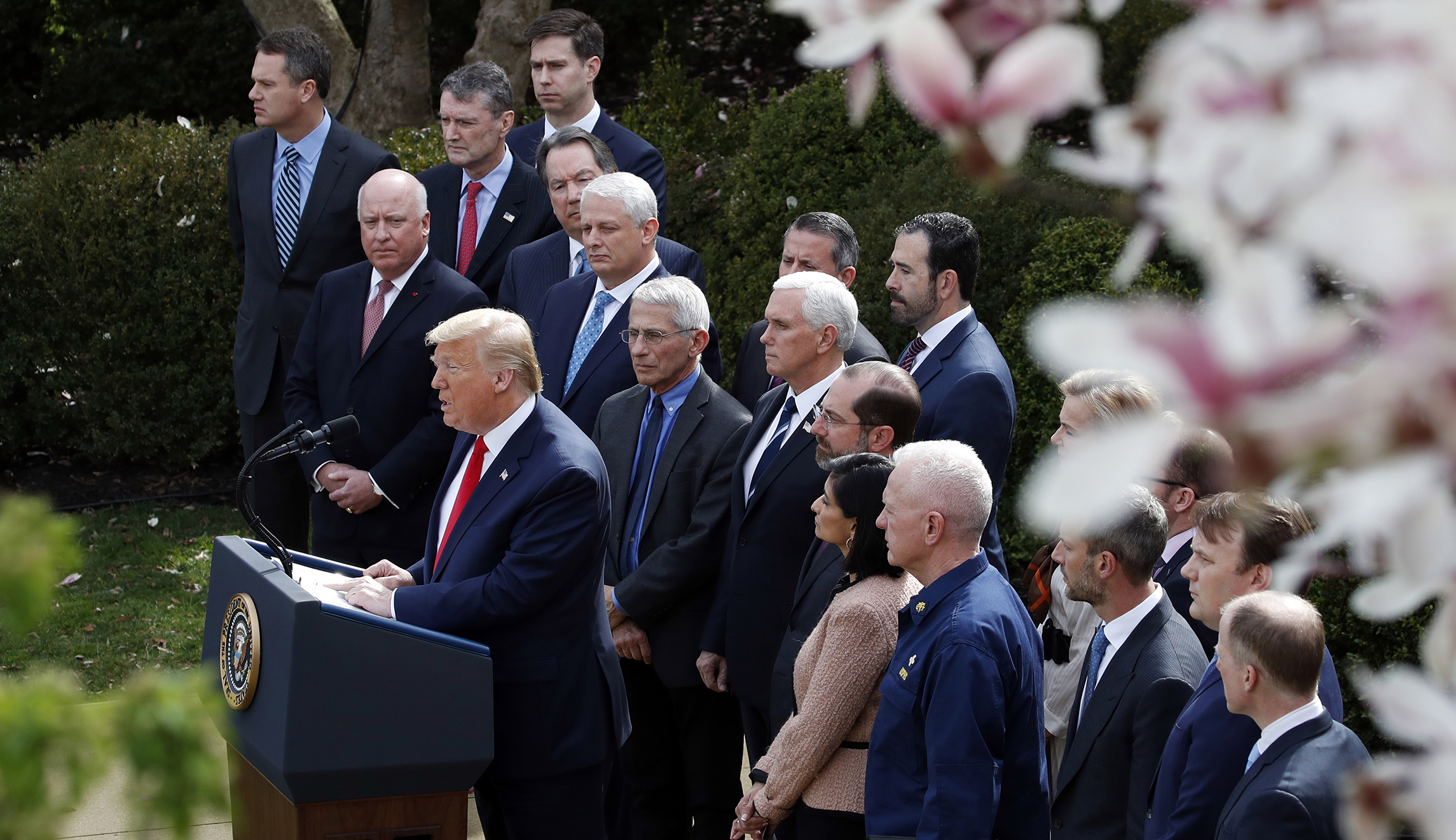 ‘Two very big words’: Trump declares national emergency to combat spread of coronavirus