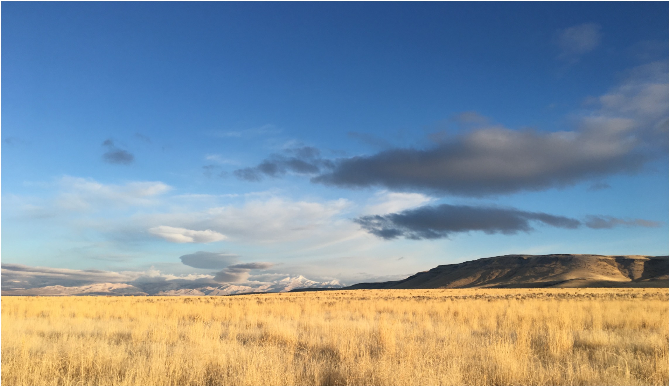 Dr. Laura's lasting truths