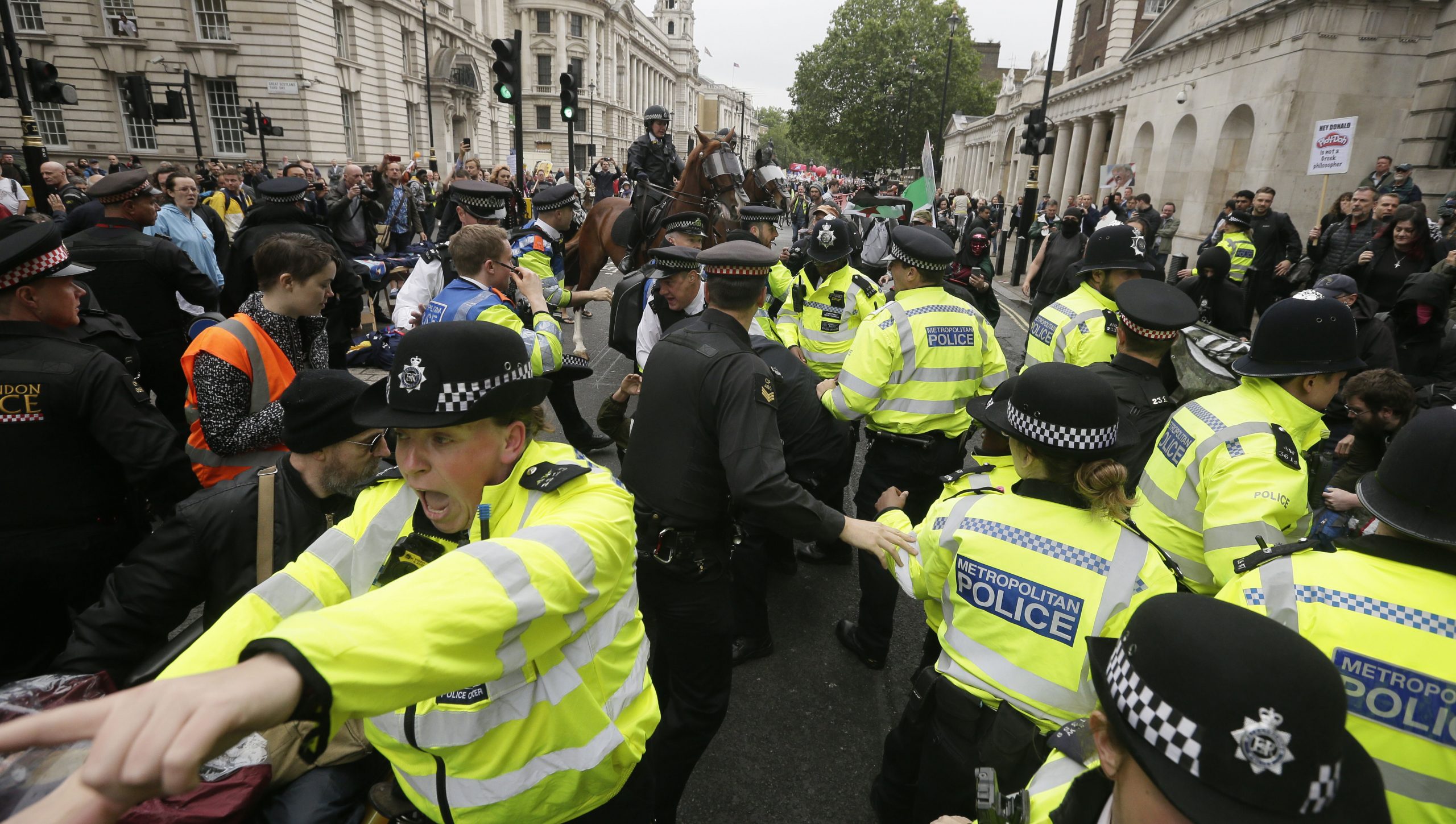 ‘Nazi scum’: Protesters mob, ‘milkshake’ Trump supporter in London