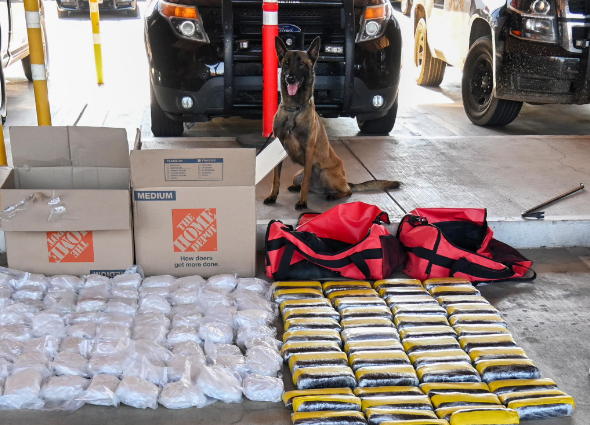 K-9 search in California leads to record seizure of over $10.5 million in drugs