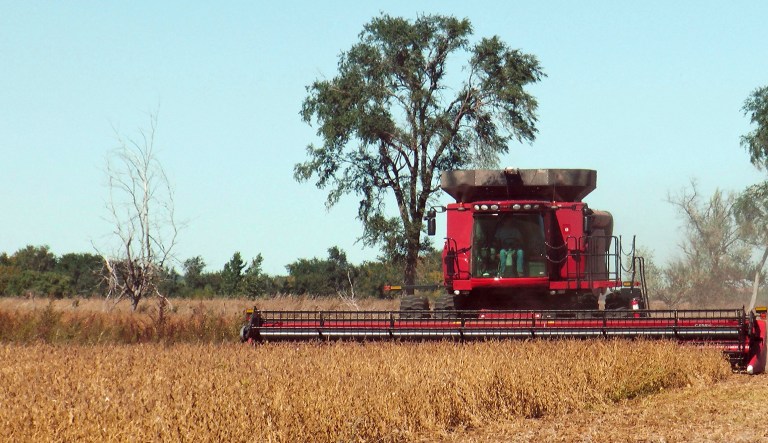FILE - In this Oct. 1, 2013 file photo, a farmer harvests a field of soybeans near Sioux Falls, S.D. The latest report from the Agriculture Department estimates South Dakota's soybean crop up 7 percent from 2013 and North Dakota's soybean crop up 37 percent.