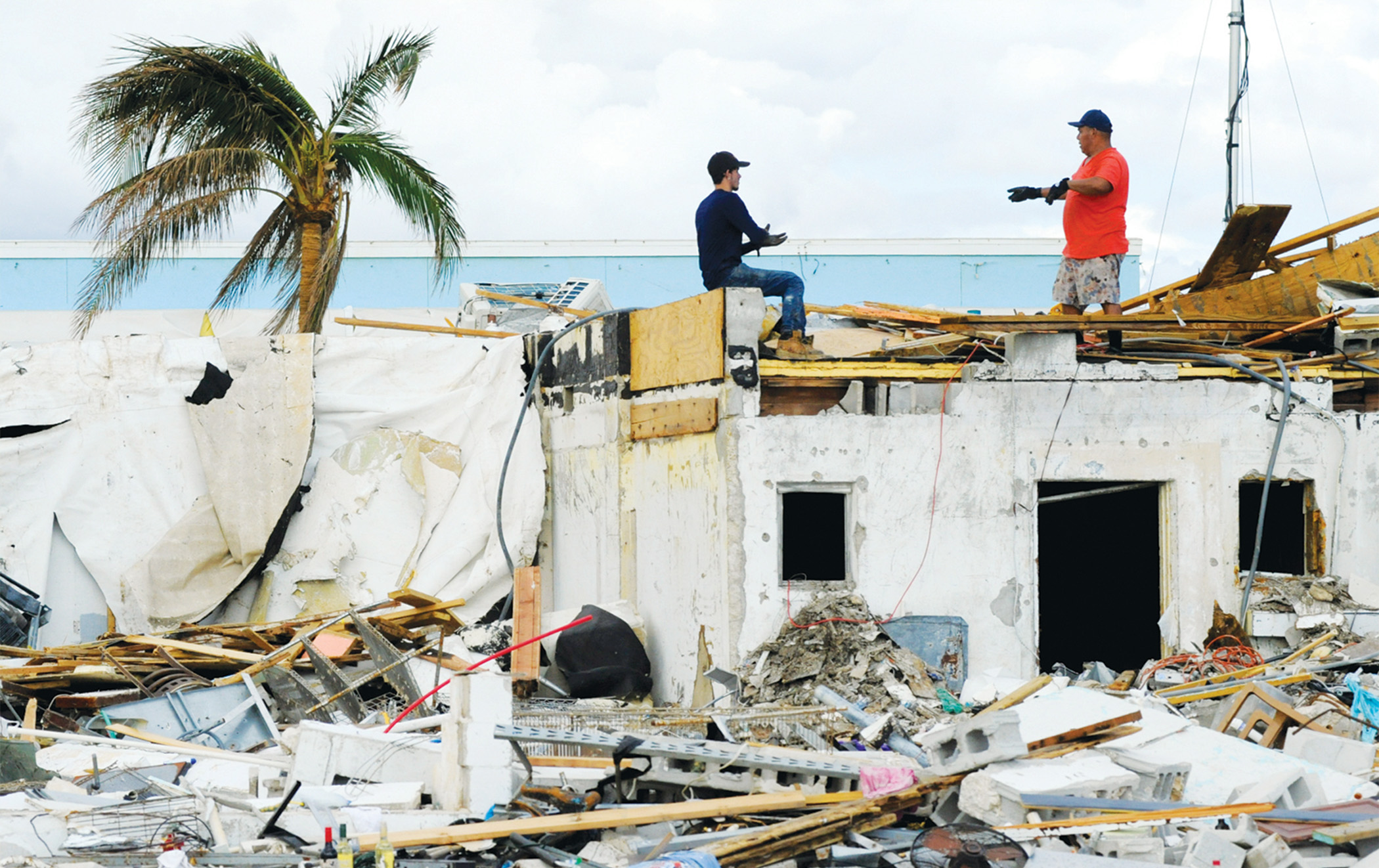 Building shelter from the storm