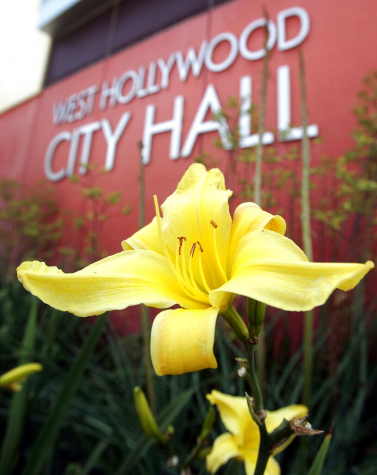 Convicted felon works security for West Hollywood after it defunded police