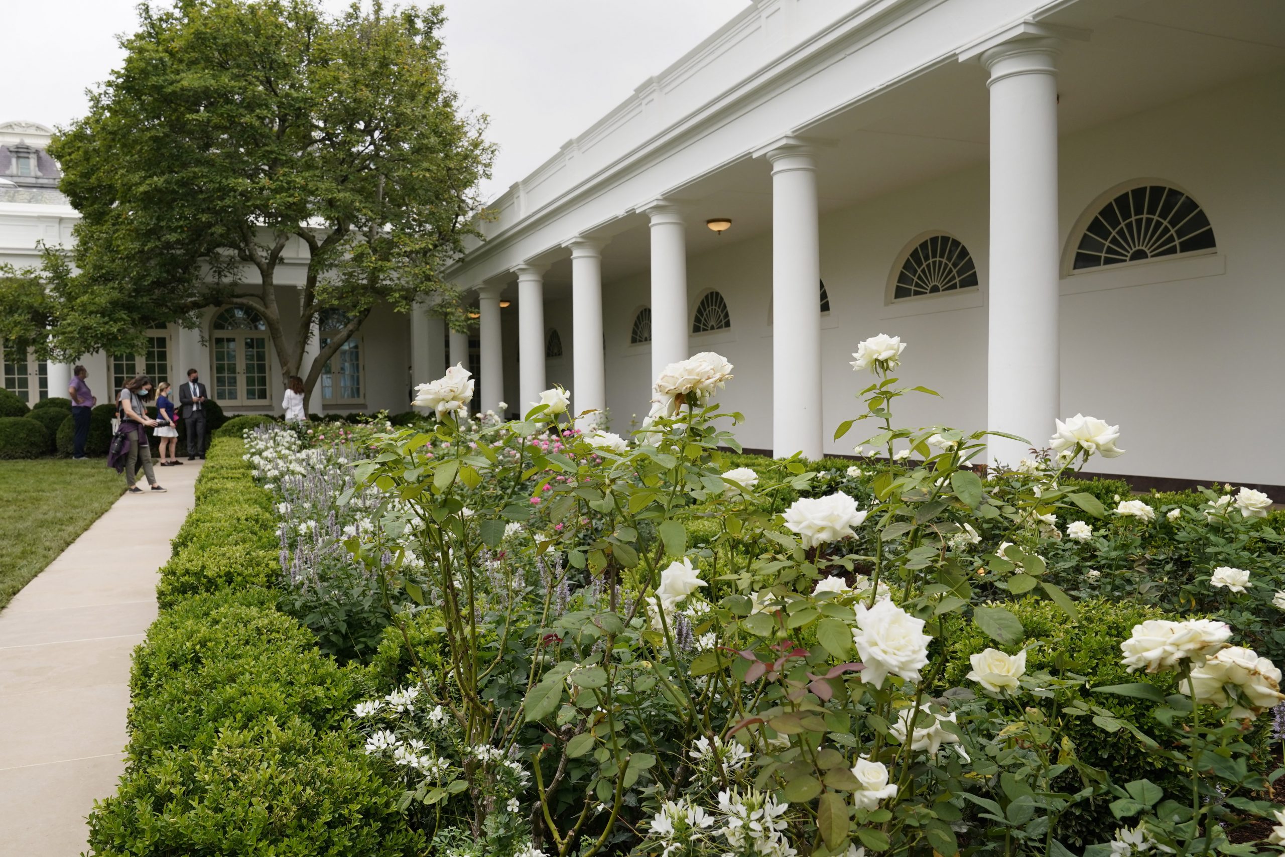 White House unveils updated Rose Garden