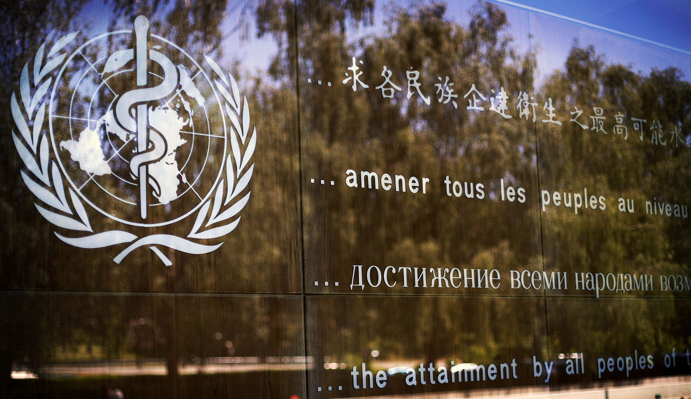 WHO official: ‘This virus may never go away’