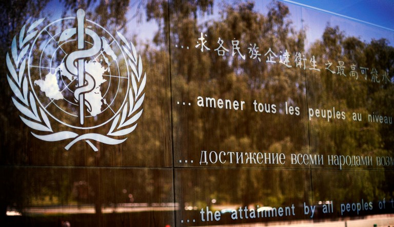 The logo of the World Health Organization is seen at the WHO headquarters in Geneva, Switzerland, Thursday, June 11, 2009. The World Health Organization held an emergency swine flu meeting Thursday and was likely to declare the first flu pandemic in 41 years as infections climbed in the United States, Europe, Australia, South America and elsewhere.