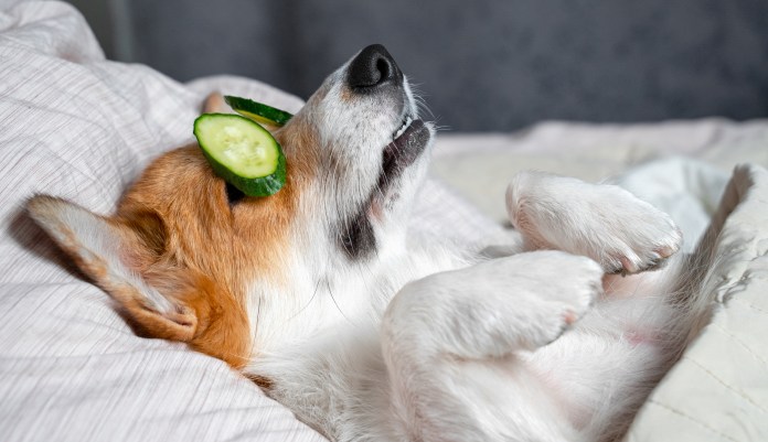 All play and no work