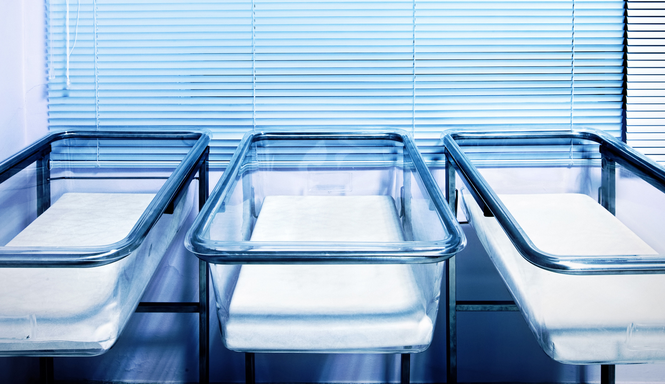 Capitalism is good, not bad, for the environment