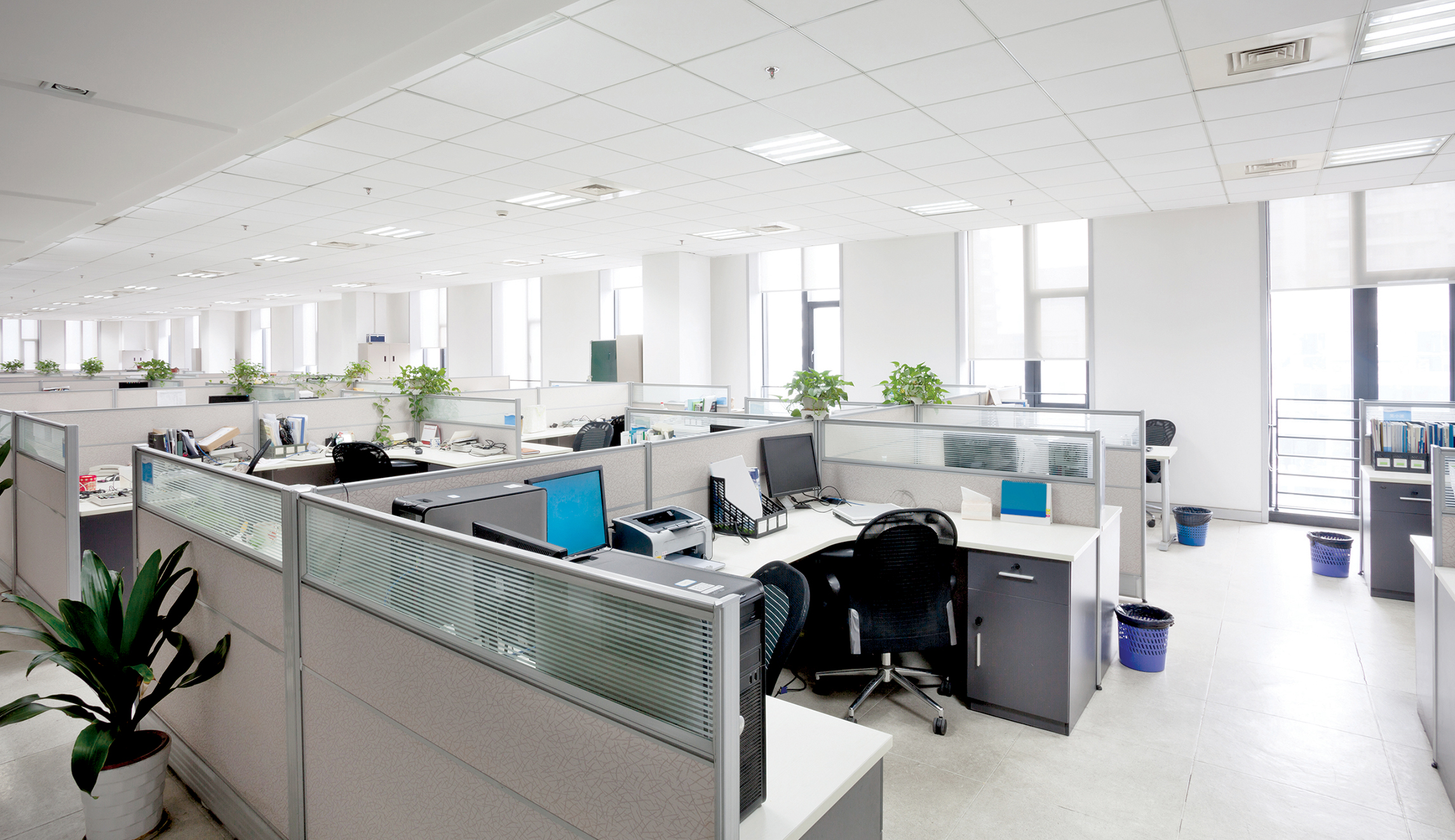 When can we go back to the office?