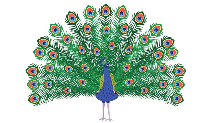 Killing peacocks in the digital age
