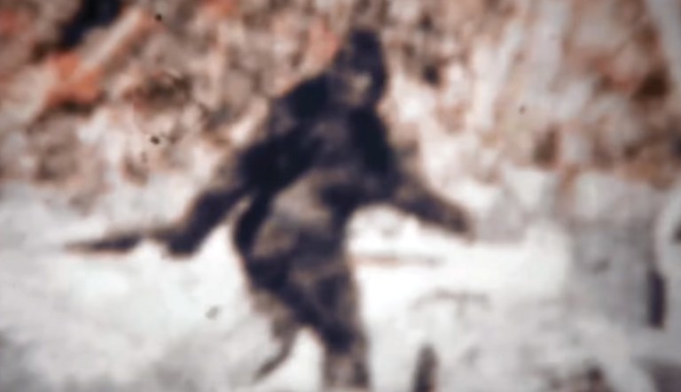 That time the FBI tested for Bigfoot