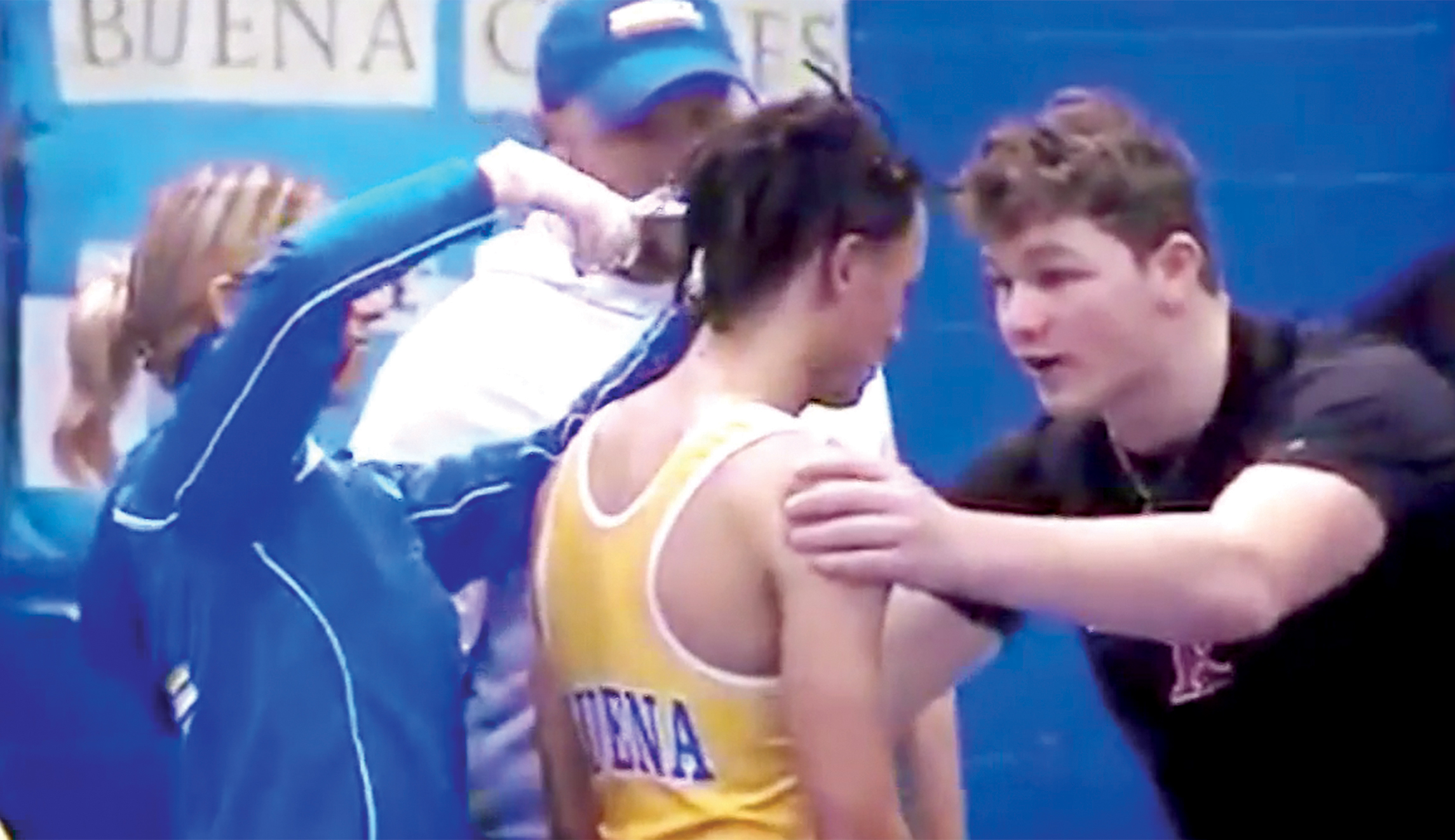 A not so hairbrained idea