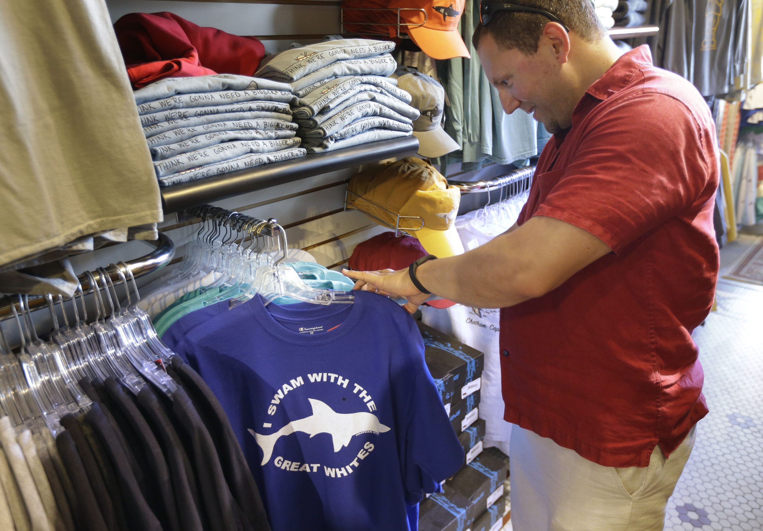 Shark sightings off Cape Cod a boon for tourism