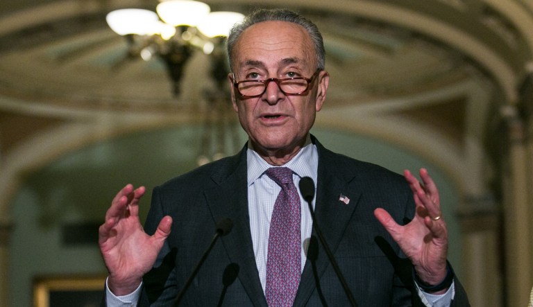 Senator Chuck Schumer, D-N.Y., said the Republican tax reform plan will be cheered in 