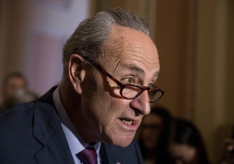 Schumer said the panels should have access to notes written by either President Trump or Comey and should be able to obtain a memo Comey wrote that suggested Trump attempted to pressure him to drop and FBI probe into ousted national security advisor Mike Flynn. (AP Photo/J. Scott Applewhite)