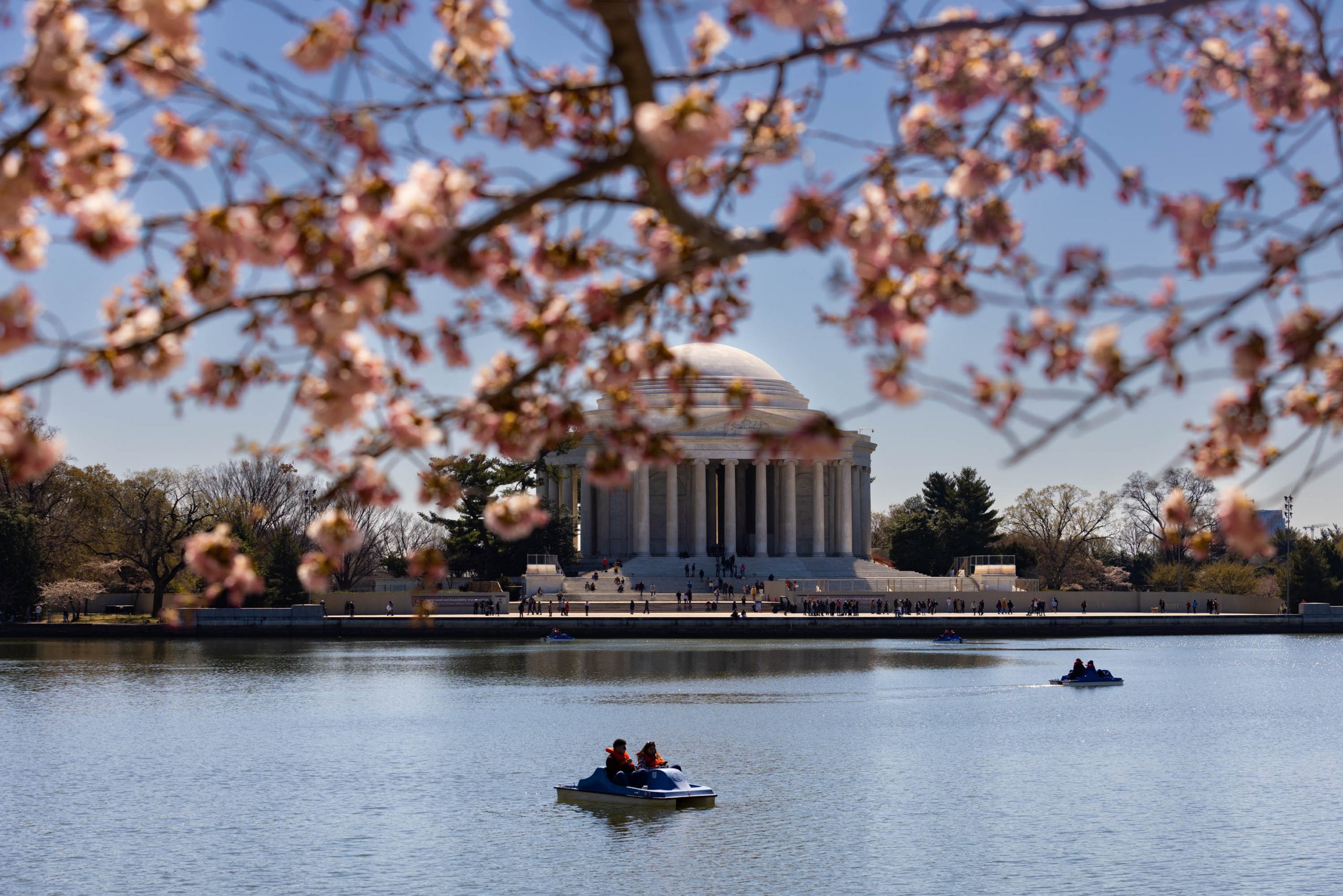 The cherry blossom trees have begun to bloom along the Tidal Basin Monday, March 20, 2023, in Washington, on the first day of the National Cherry Blossom Festival.