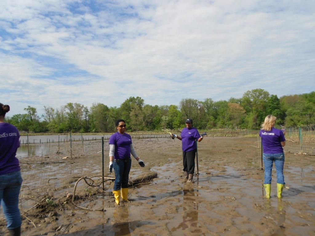Anacostia River cleanup effort underway