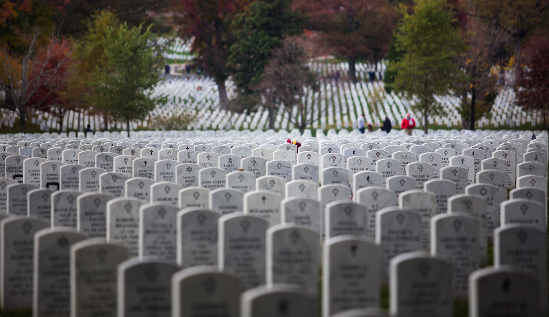 Remember Robert Kelly and these 3rd Battalion, 5th Marines