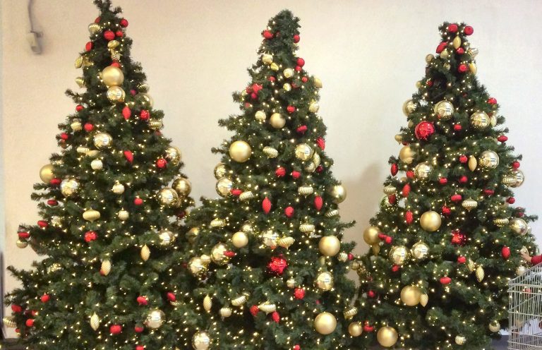 A Department of Veterans Affairs employee is threatening to throw away a Christmas tree that was found in the Philadelphia office. (AP Photo/Vadim Ghirda)