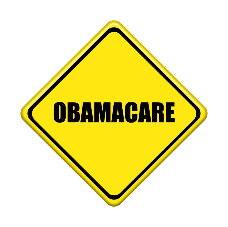 Obamacare architect Jonathan Gruber said, 