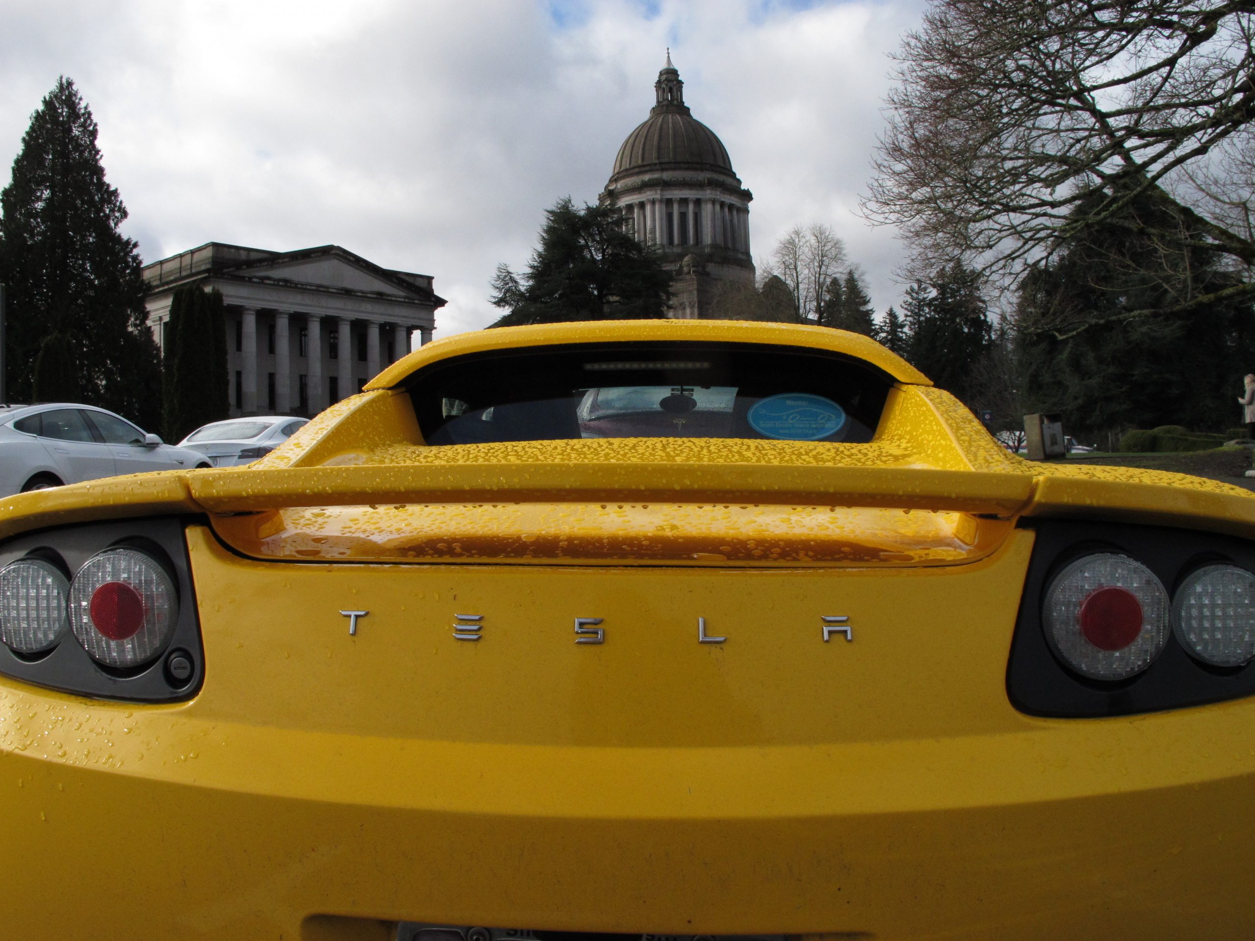 Left extols free markets after Chris Christie cracks down on Tesla
