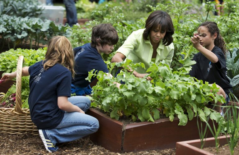 First Lady Michelle Obama will invite school children to the annual fall harvest of the White House kitchen garden, despite the garden's vegetables rotting during the government shutdown.ÃÂ (AP/Manuel Balce Ceneta)