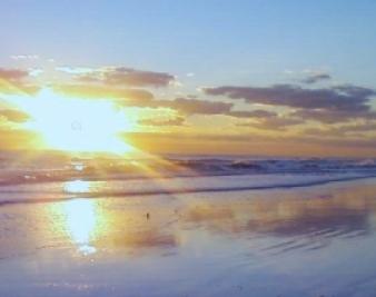 Florida Poll: Gingrich 34, Romney 26