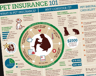 A Health Insurance System that Works