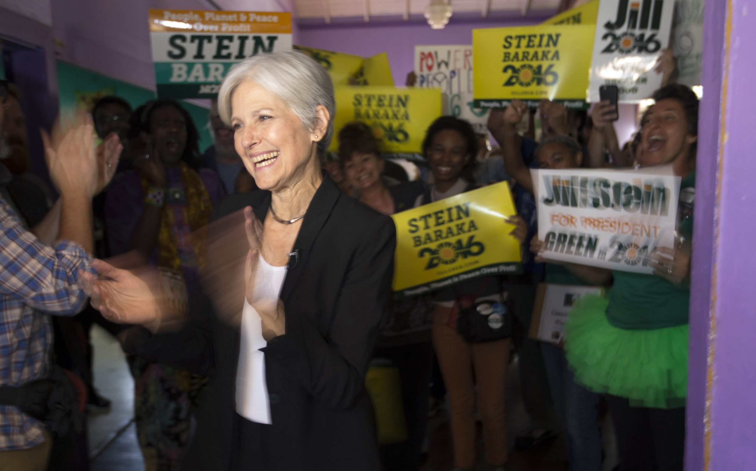 Stein raises more money for recounts than for her own campaign